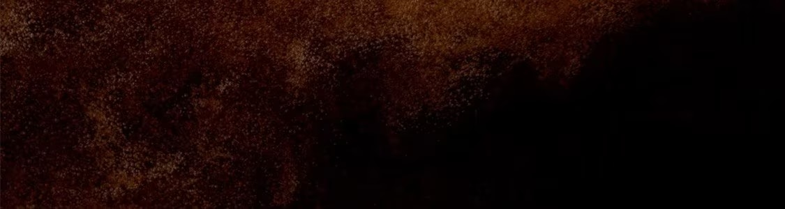 Dallmayr Kaffeekapseln banner